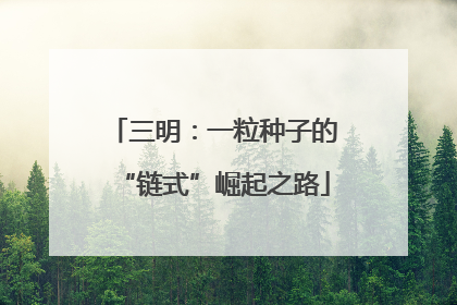 三明：一粒种子的“链式”崛起之路