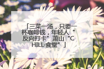 三菜一汤，只要一杯咖啡钱，年轻人“反向打卡”萧山“CHILL·食堂”