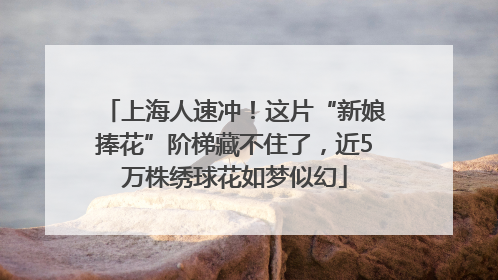 上海人速冲！这片“新娘捧花”阶梯藏不住了，近5万株绣球花如梦似幻
