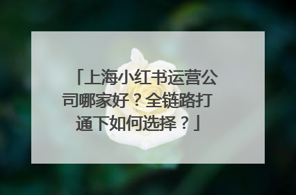 上海小红书运营公司哪家好？全链路打通下如何选择？