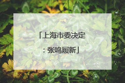上海市委决定：张鸣履新