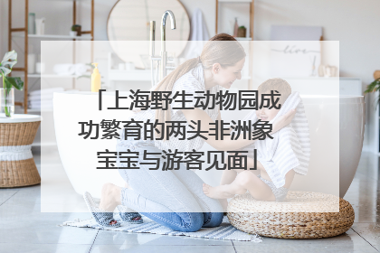 上海野生动物园成功繁育的两头非洲象宝宝与游客见面