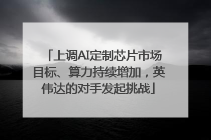 上调AI定制芯片市场目标、算力持续增加，英伟达的对手发起挑战