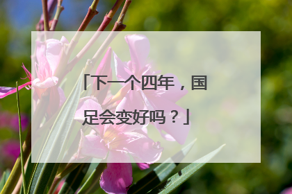 下一个四年，国足会变好吗？