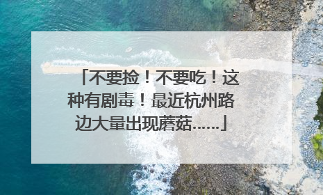 不要捡！不要吃！这种有剧毒！最近杭州路边大量出现蘑菇……