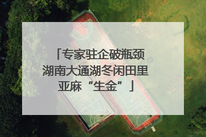 专家驻企破瓶颈 湖南大通湖冬闲田里亚麻“生金”