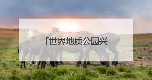 世界地质公园兴文石海获颁“行读四川”研学品牌