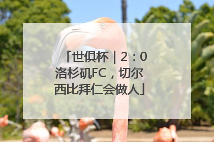 世俱杯｜2：0洛杉矶FC，切尔西比拜仁会做人