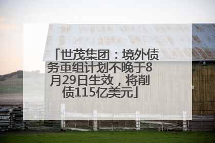 世茂集团：境外债务重组计划不晚于8月29日生效，将削债115亿美元