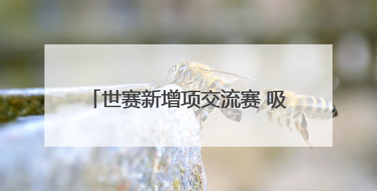 世赛新增项交流赛 吸引多国选手来穗切磋
