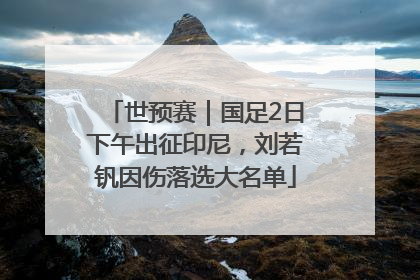 世预赛｜国足2日下午出征印尼，刘若钒因伤落选大名单