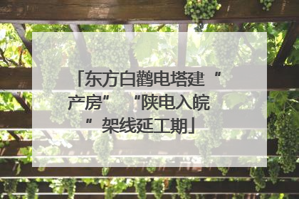 东方白鹳电塔建“产房” “陕电入皖”架线延工期