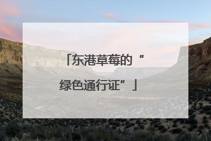 东港草莓的“绿色通行证”