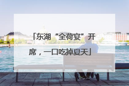 东湖“全荷宴”开席，一口吃掉夏天
