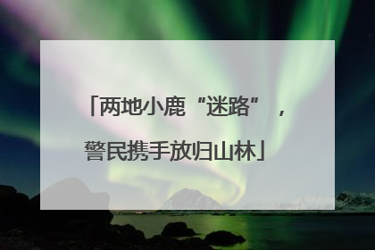 两地小鹿“迷路”，警民携手放归山林
