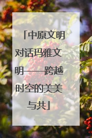 中原文明对话玛雅文明——跨越时空的美美与共