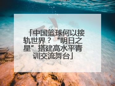 中国篮球何以接轨世界？“明日之星”搭建高水平青训交流舞台