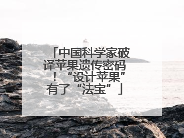 中国科学家破译苹果遗传密码！“设计苹果”有了“法宝”