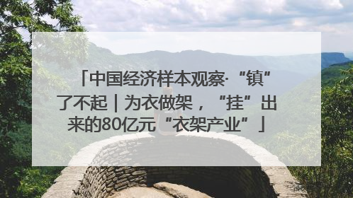 中国经济样本观察·“镇”了不起｜为衣做架，“挂”出来的80亿元“衣架产业”
