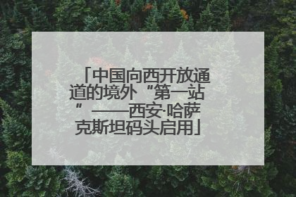 中国向西开放通道的境外“第一站”——西安·哈萨克斯坦码头启用