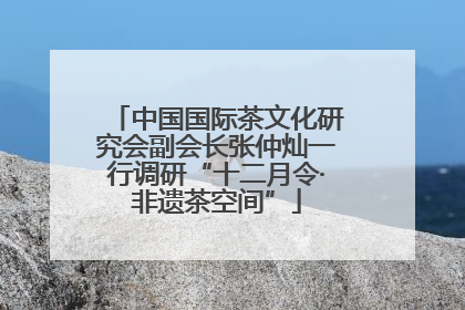 中国国际茶文化研究会副会长张仲灿一行调研“十二月令·非遗茶空间”