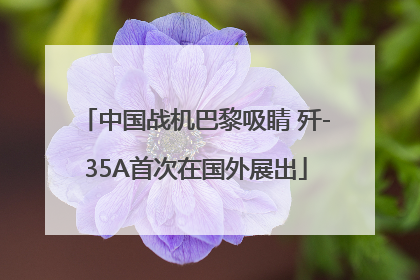 中国战机巴黎吸睛 歼-35A首次在国外展出
