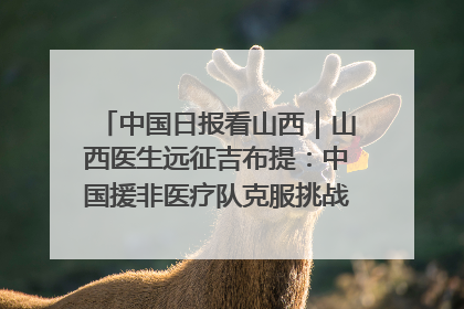 中国日报看山西｜山西医生远征吉布提：中国援非医疗队克服挑战救助非洲患者