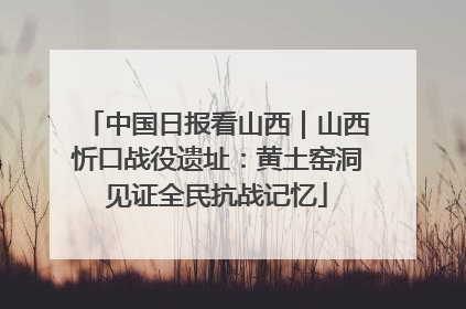 中国日报看山西｜山西忻口战役遗址：黄土窑洞见证全民抗战记忆