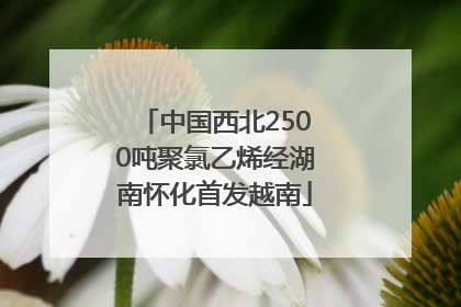 中国西北2500吨聚氯乙烯经湖南怀化首发越南