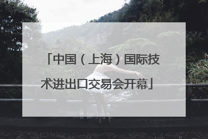 中国（上海）国际技术进出口交易会开幕