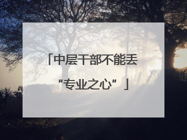 中层干部不能丢“专业之心”
