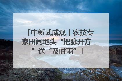 中新武威观｜农技专家田间地头“把脉开方”送“及时雨”