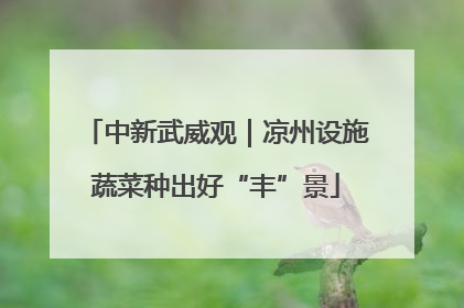 中新武威观｜凉州设施蔬菜种出好“丰”景