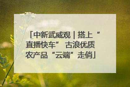 中新武威观｜搭上“直播快车” 古浪优质农产品“云端”走俏