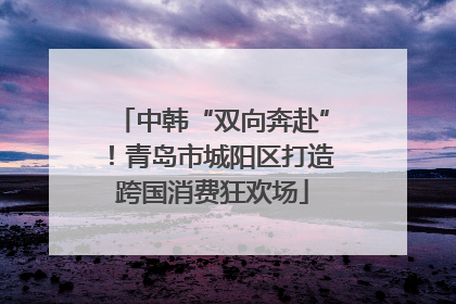 中韩“双向奔赴”！青岛市城阳区打造跨国消费狂欢场