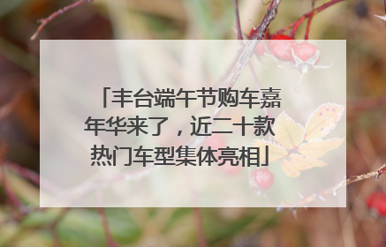 丰台端午节购车嘉年华来了，近二十款热门车型集体亮相
