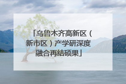 乌鲁木齐高新区（新市区）产学研深度融合再结硕果