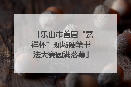 乐山市首届“嘉祥杯”现场硬笔书法大赛圆满落幕