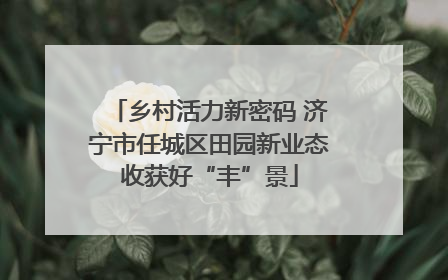乡村活力新密码 济宁市任城区田园新业态收获好“丰”景