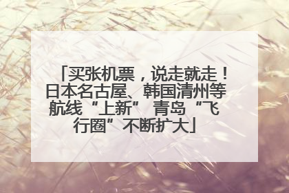 买张机票，说走就走！日本名古屋、韩国清州等航线“上新” 青岛“飞行圈”不断扩大