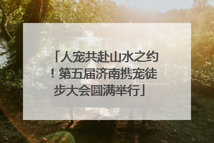 人宠共赴山水之约！第五届济南携宠徒步大会圆满举行