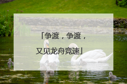 争渡，争渡，又见龙舟竞速