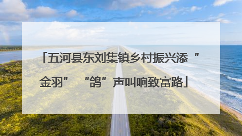 五河县东刘集镇乡村振兴添“金羽” “鸽”声叫响致富路