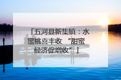五河县新集镇：水蜜桃喜丰收 “甜蜜经济促增收”