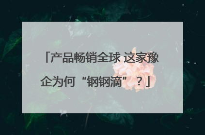 产品畅销全球 这家豫企为何“钢钢滴”？