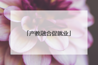 产教融合促就业