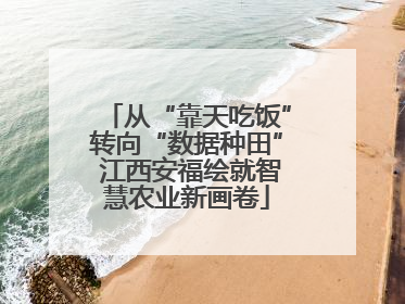 从“靠天吃饭”转向“数据种田” 江西安福绘就智慧农业新画卷