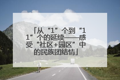 从“1”个到“11”个的延续——感受“社区+园区”中的民族团结情