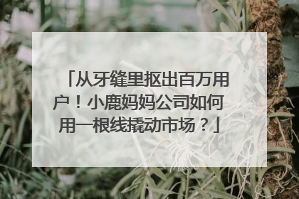 从牙缝里抠出百万用户！小鹿妈妈公司如何用一根线撬动市场？