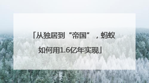 从独居到“帝国”，蚂蚁如何用1.6亿年实现